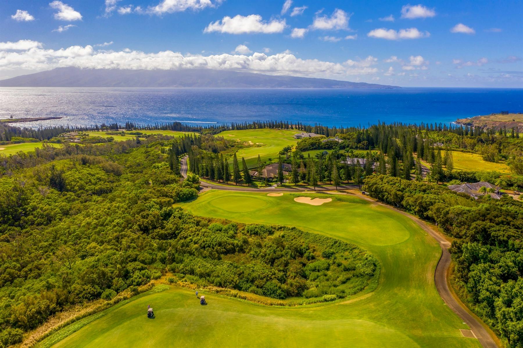 The Ritz-Carlton Maui, Kapalua 10