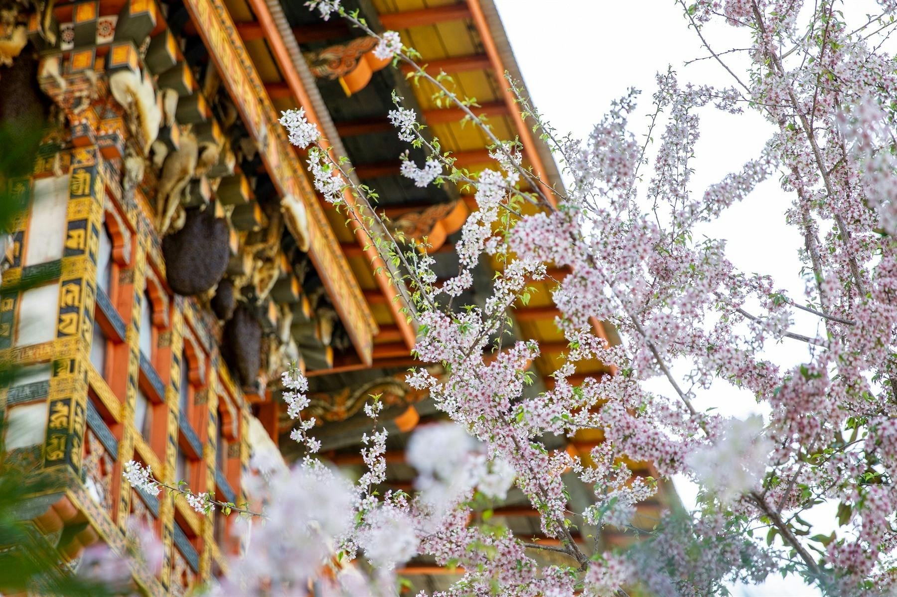 | Bumthang to Punakha