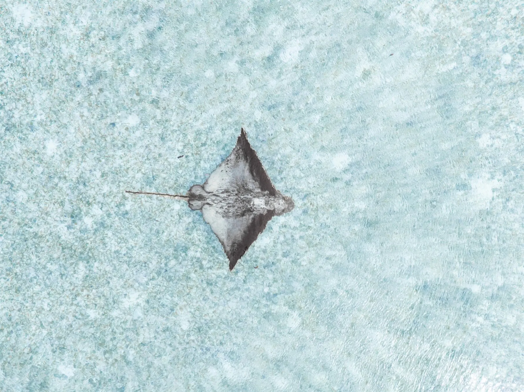 Waldorf Astoria Platte Island image 3