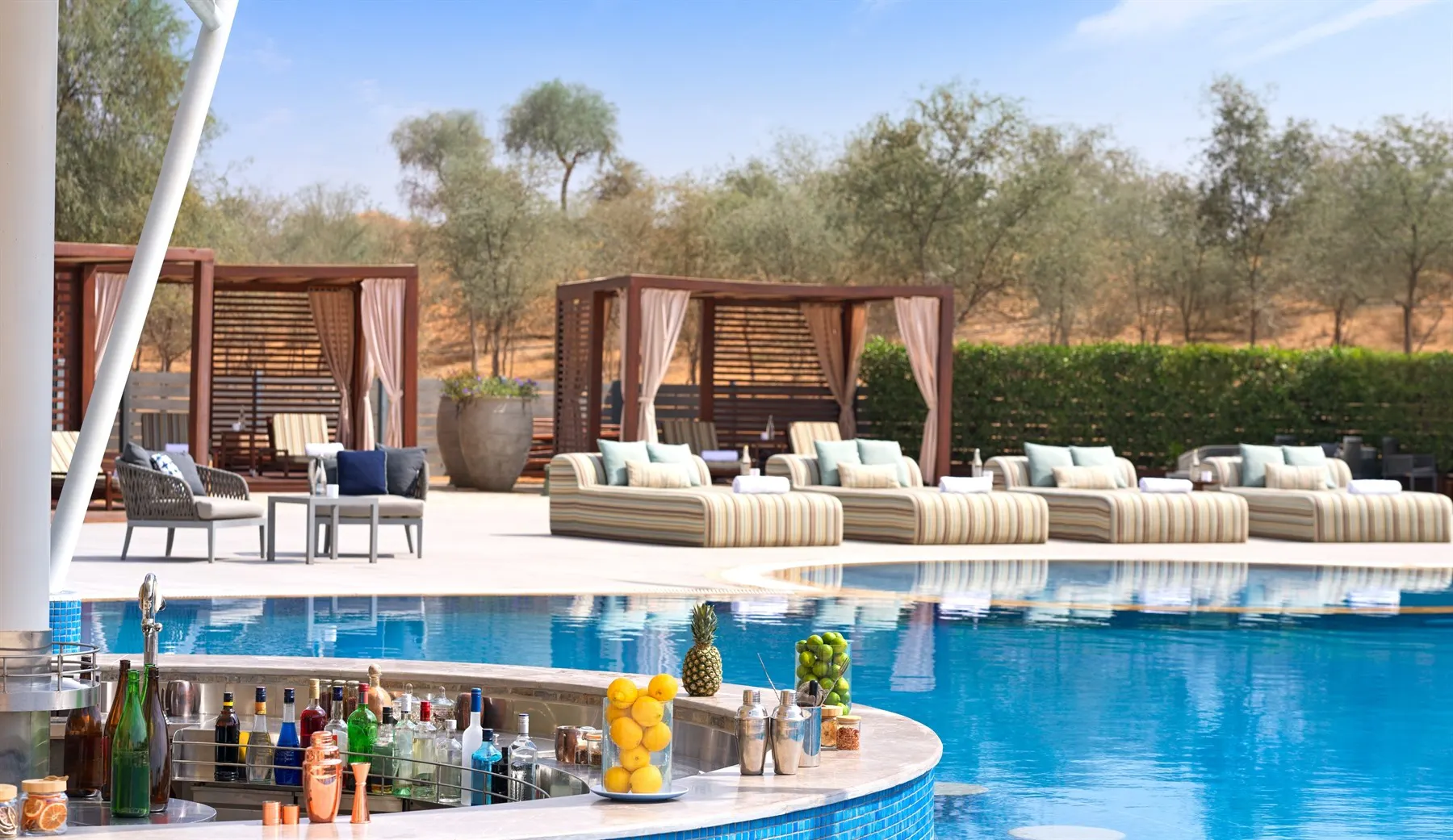 Oasis pool bar, The Ritz-Carlton Ras Al Khaimah, Al Wadi Desert