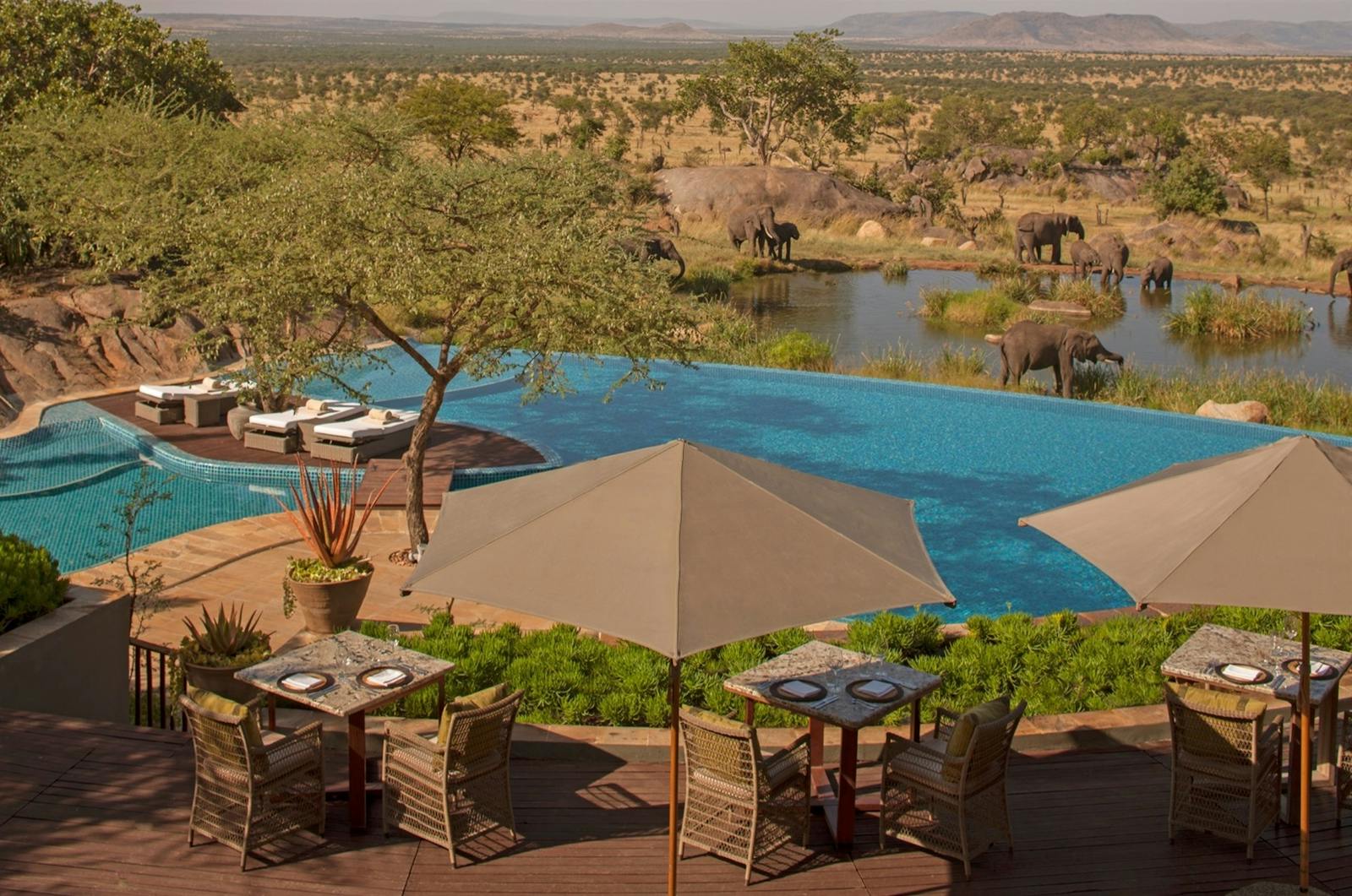 best safari hotel tanzania