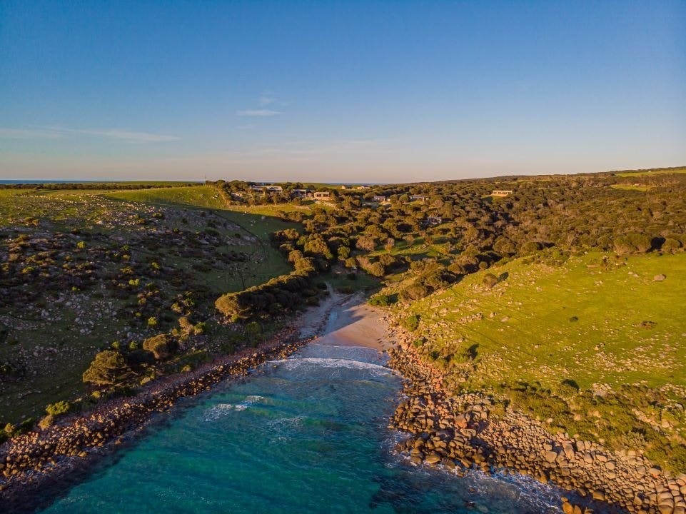 Sea Dragon Kangaroo Island