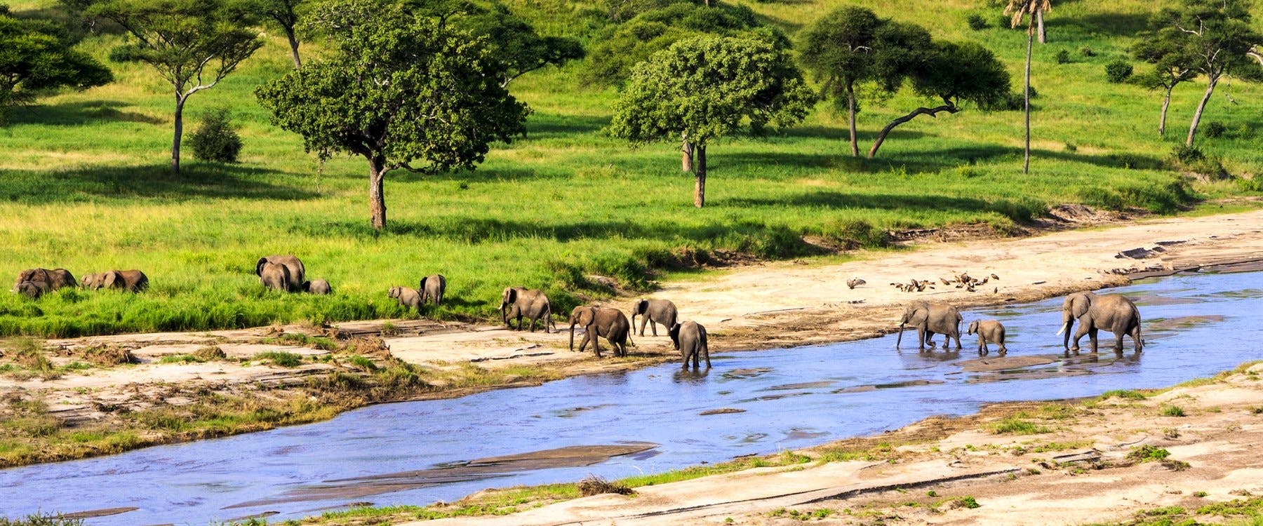 Serengeti National Park