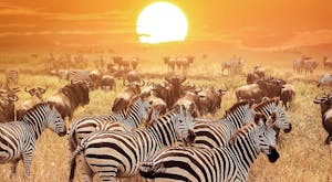 Natural Wonders of Tanzania With &Beyond