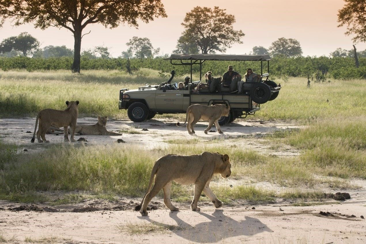 | Hwange National Park 