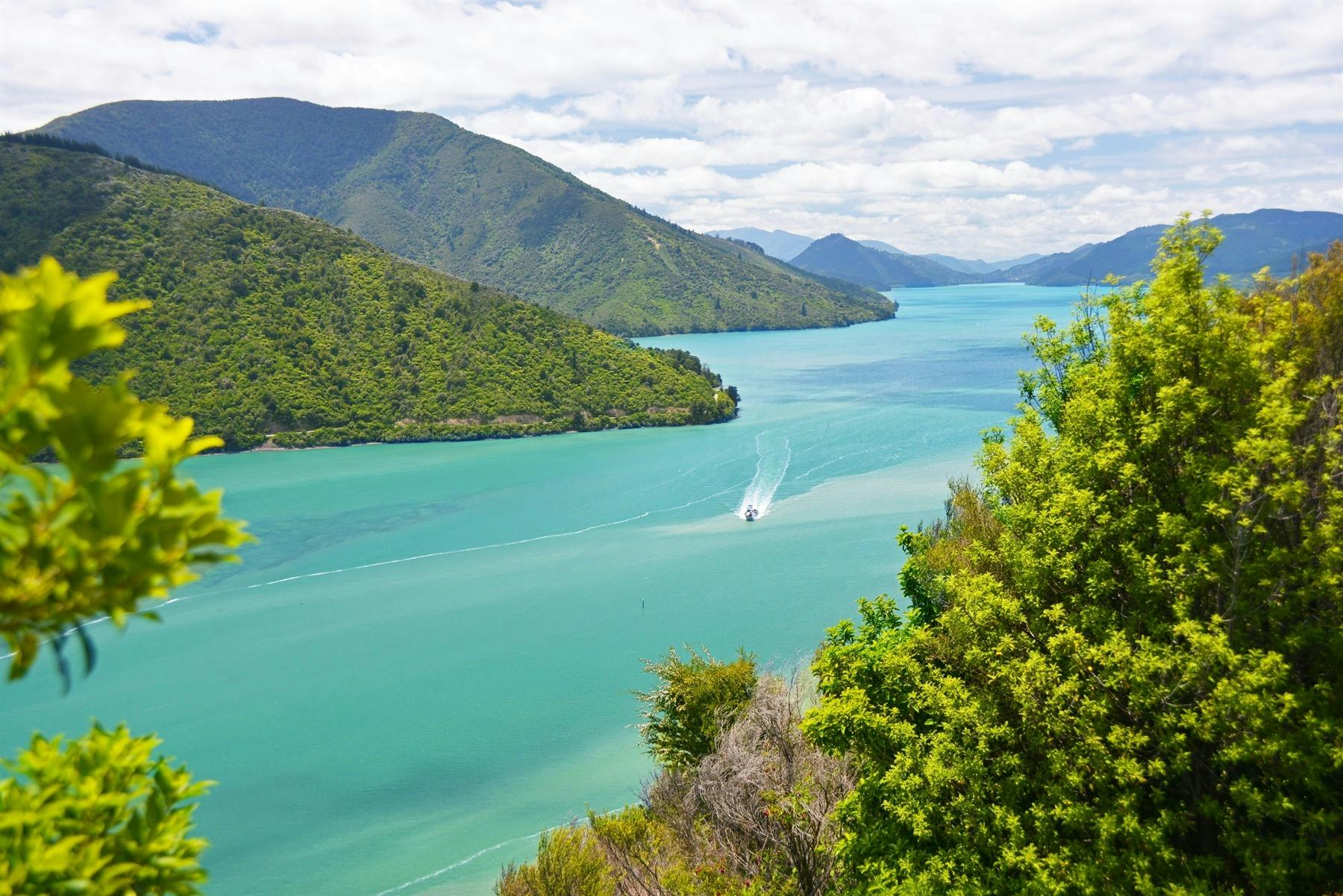 Nelson to Blenheim (92 miles) via Queen Charlotte Scenic Drive