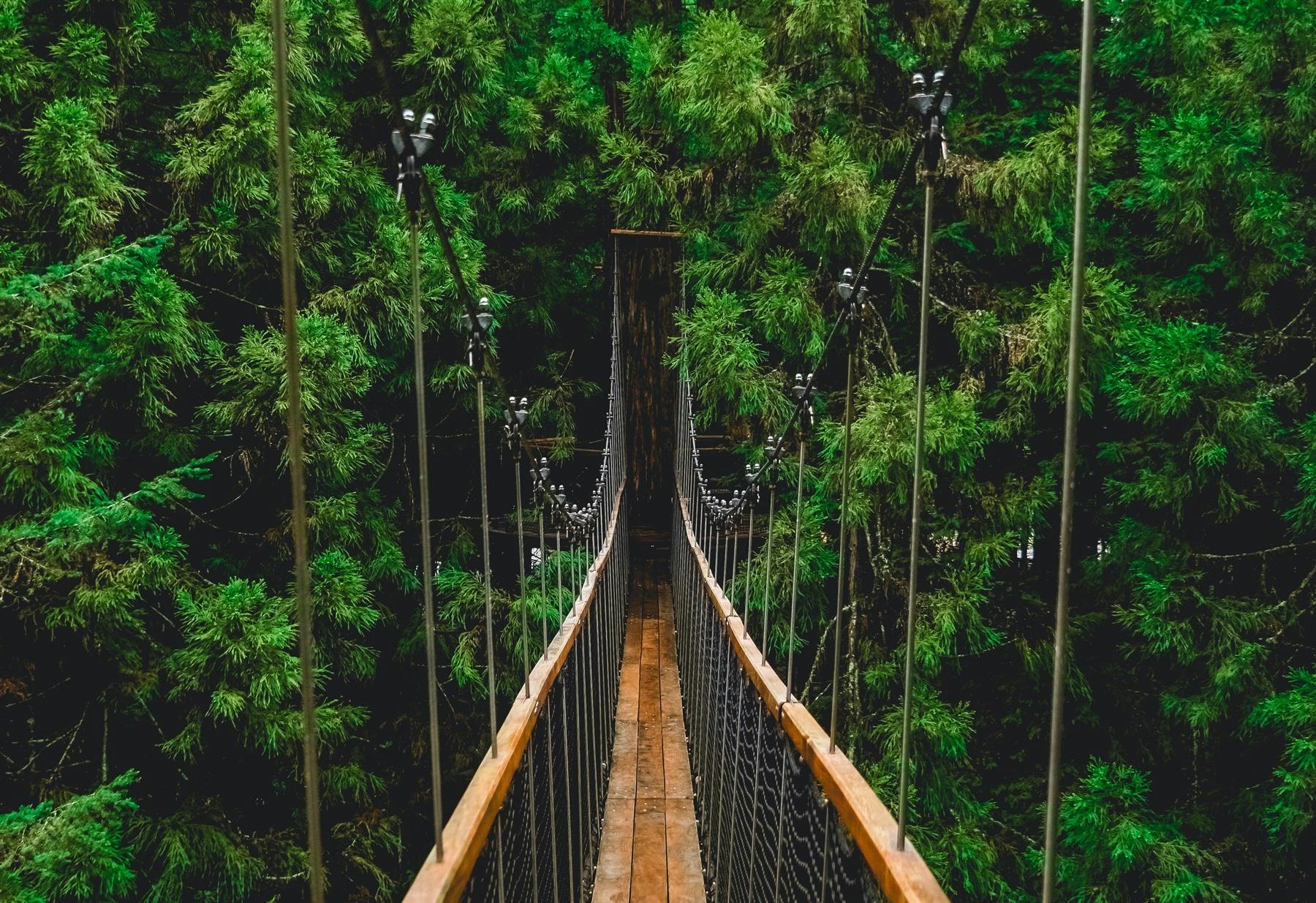 Rotorua Day of Adventures