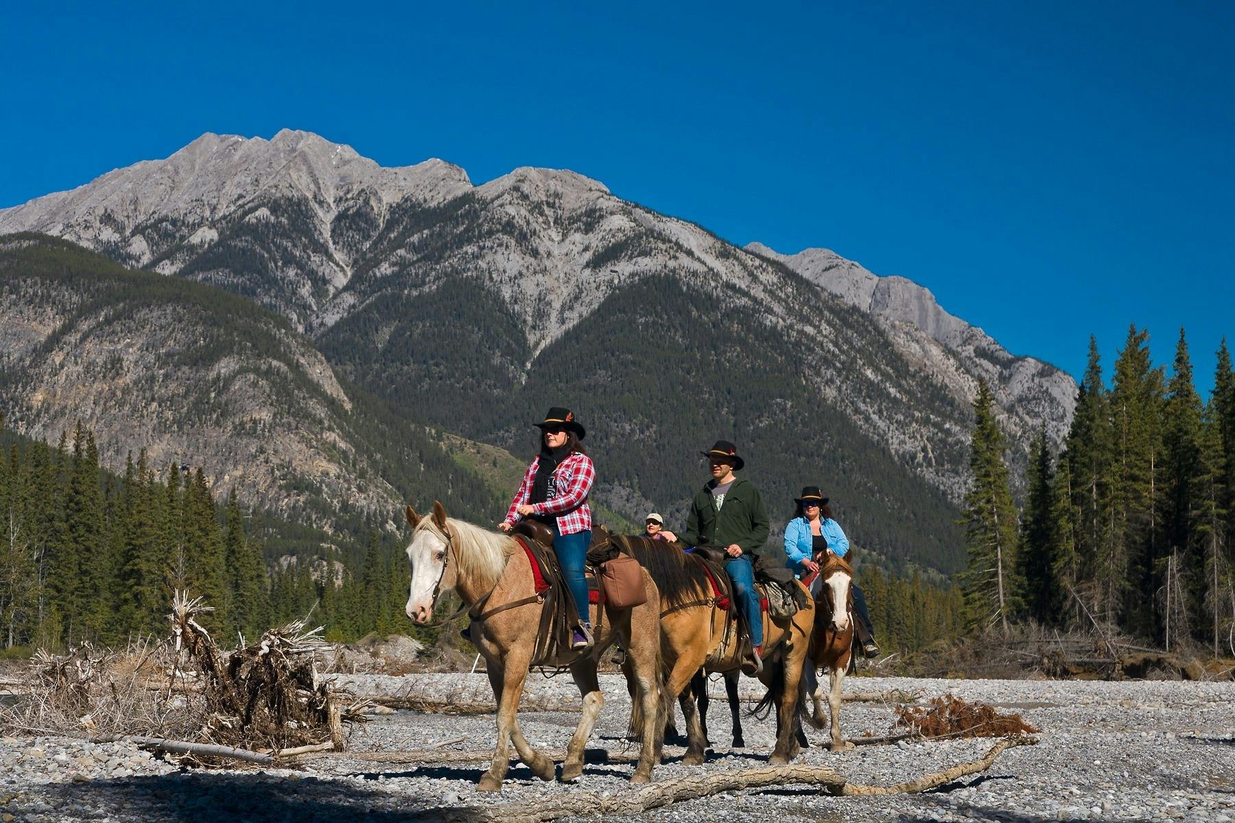 Sundance Lodge Horse Pack Adventure