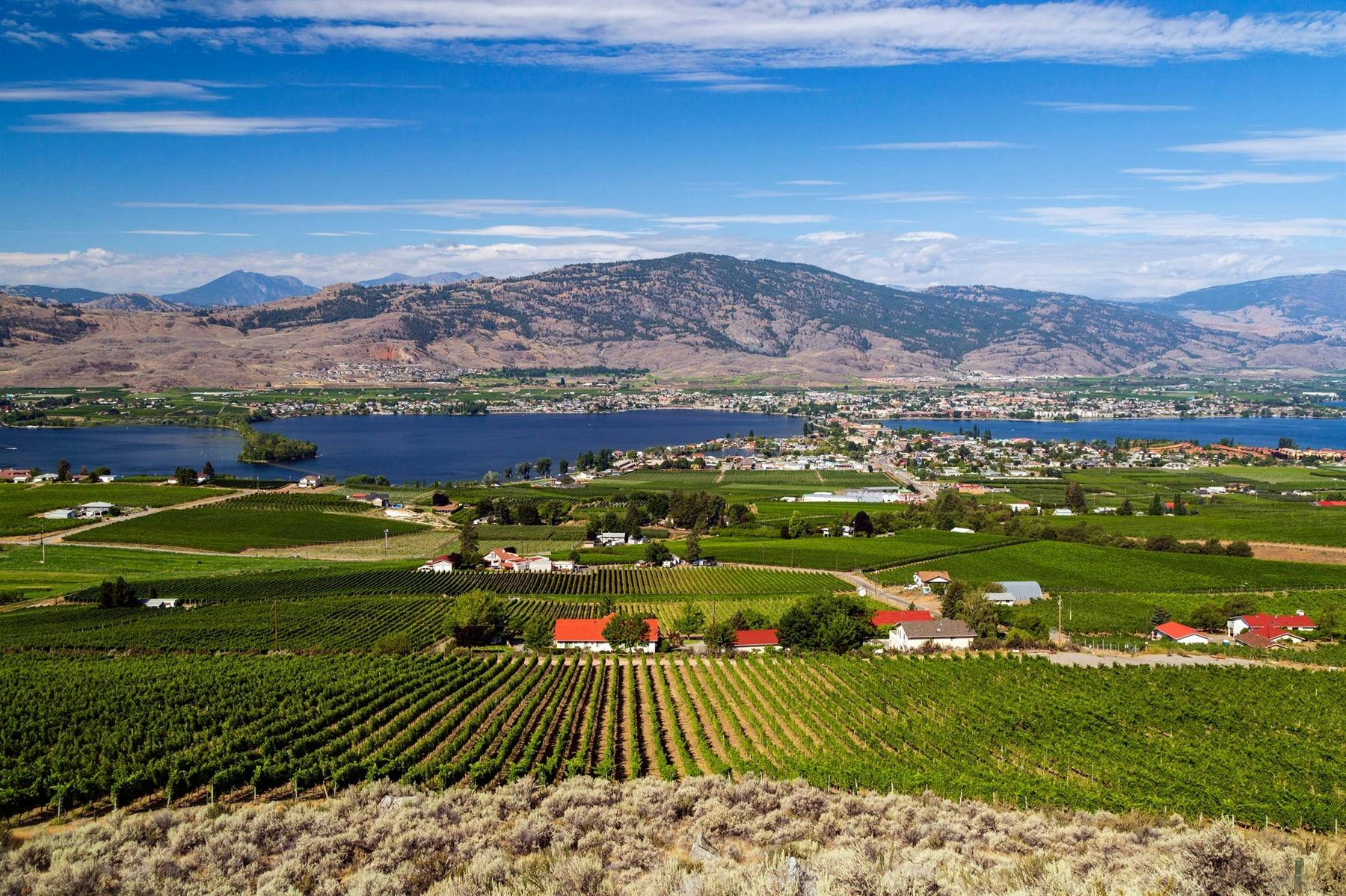 | Osoyoos 