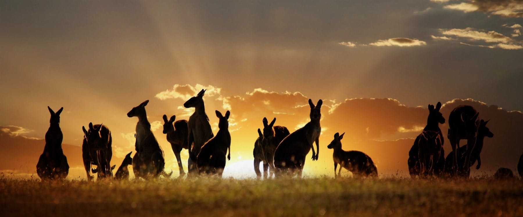 Grand Tour of Australia image 1