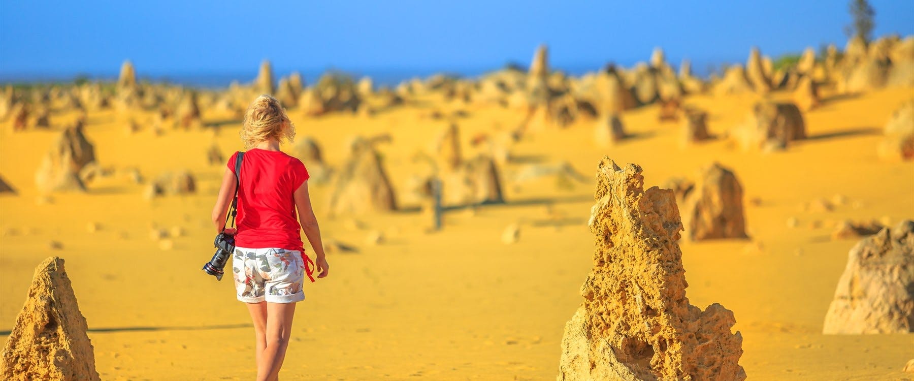 Lancelin Sand Dunes Sand Boarding and Pinnacles Explorer
