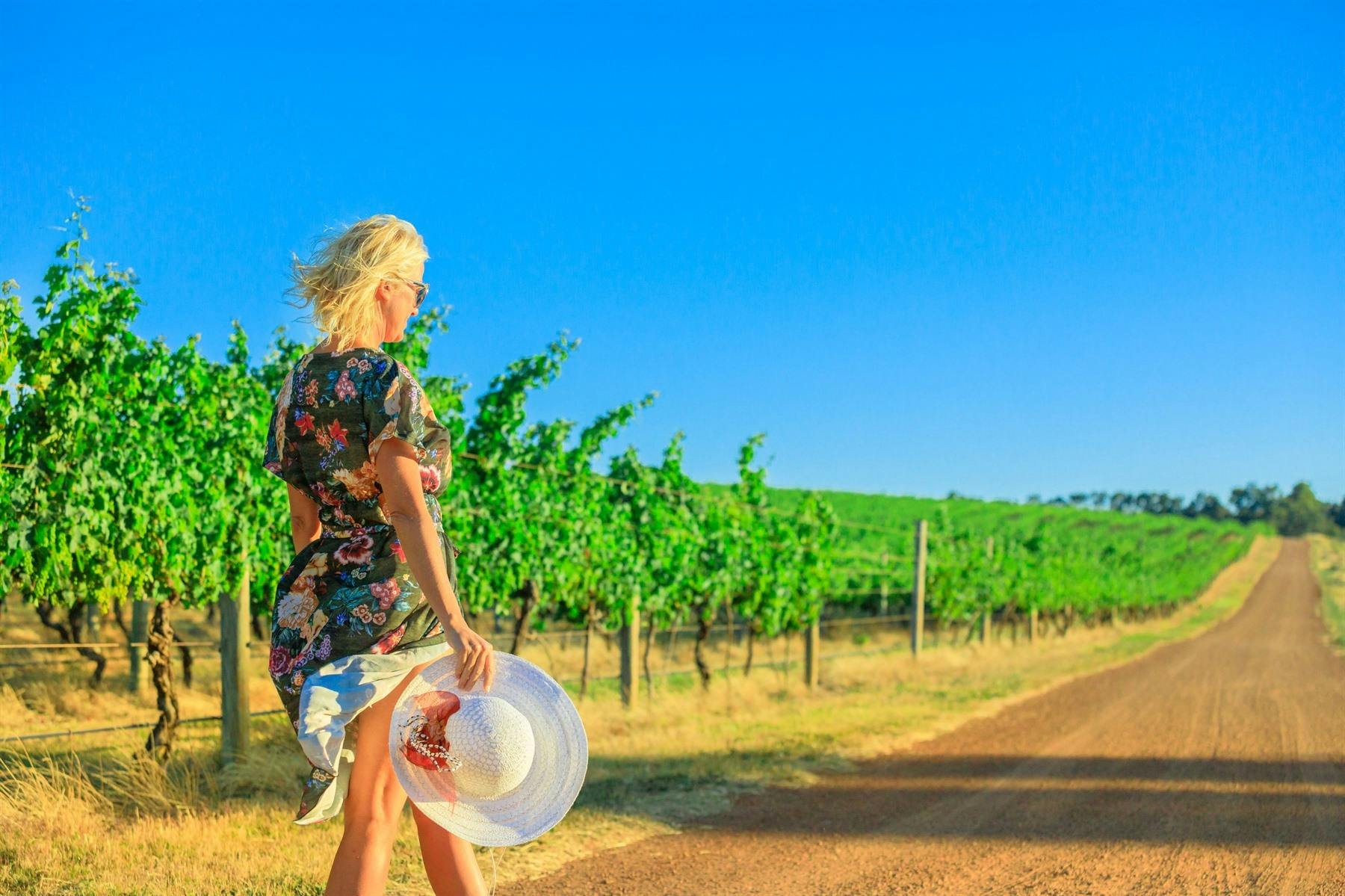 Organic Winemaking Experience