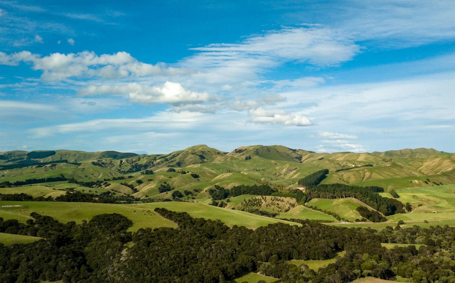 Hawkes Bay to Martinborough (190 miles)