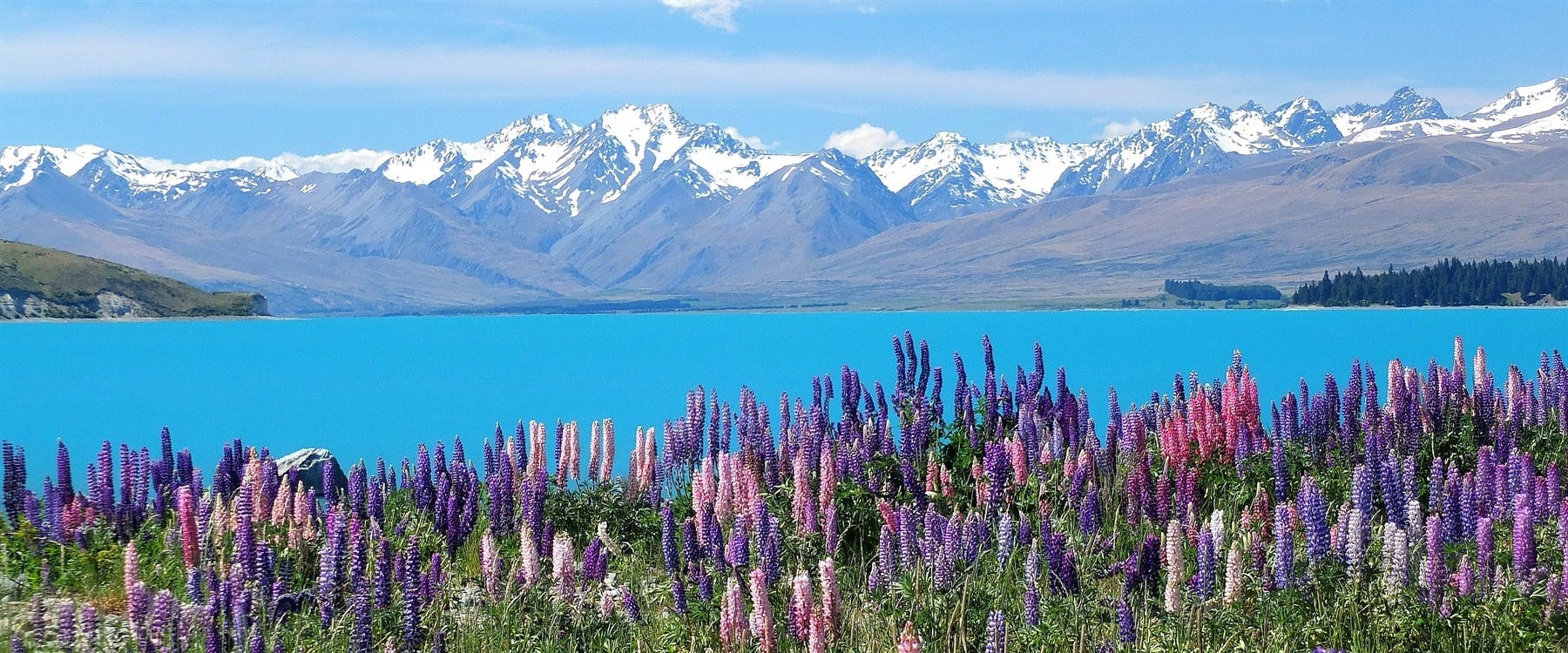 Christchurch to Ahuriri Valley (210 miles)