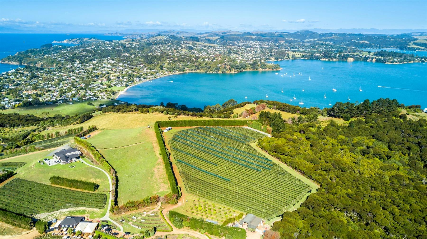 Waiheke Island Wine Tour