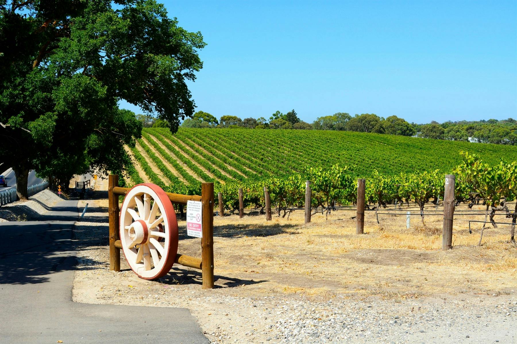 Barossa Valley