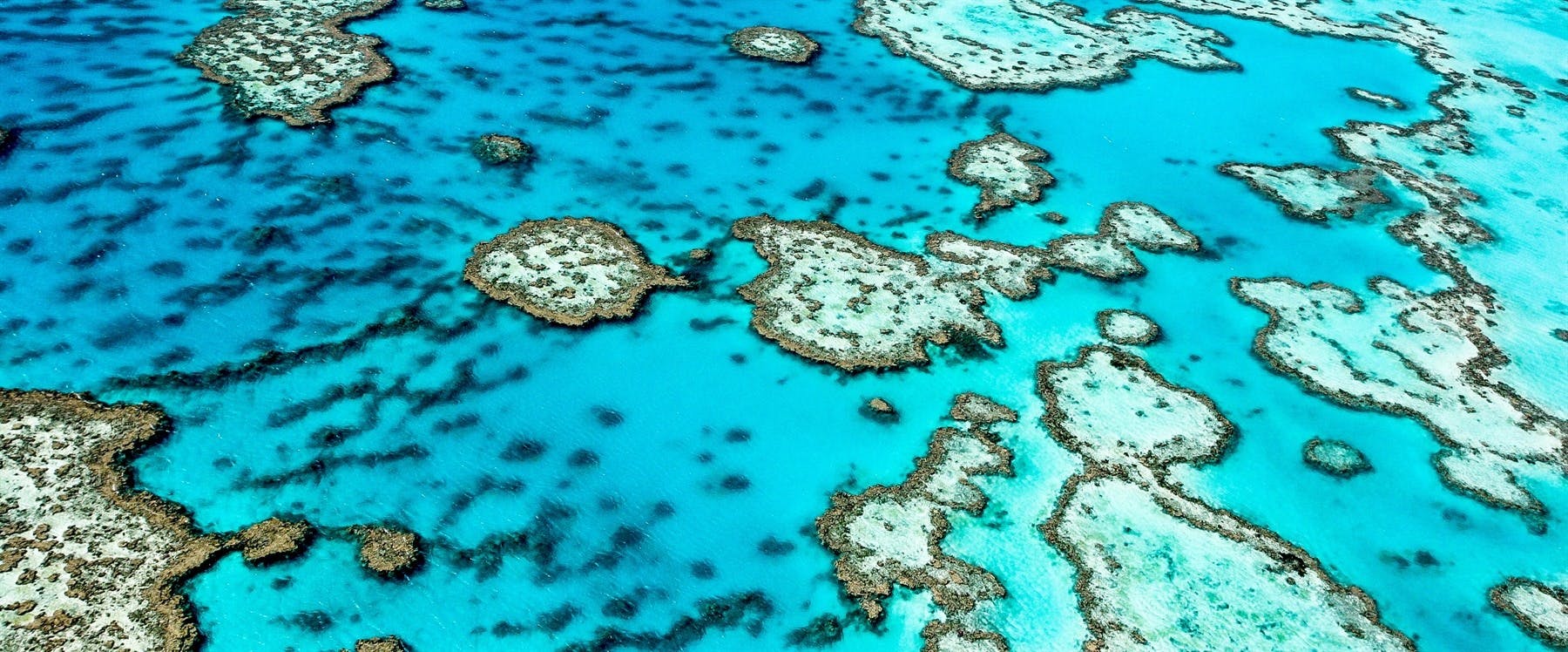 Great Barrier Reef Cruise
