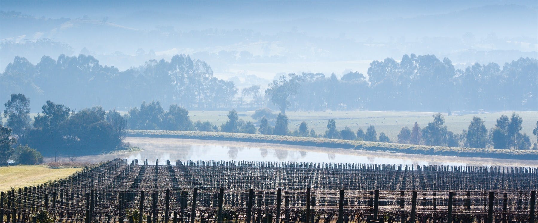 Full Day Yarra Valley Wine and Food Tour