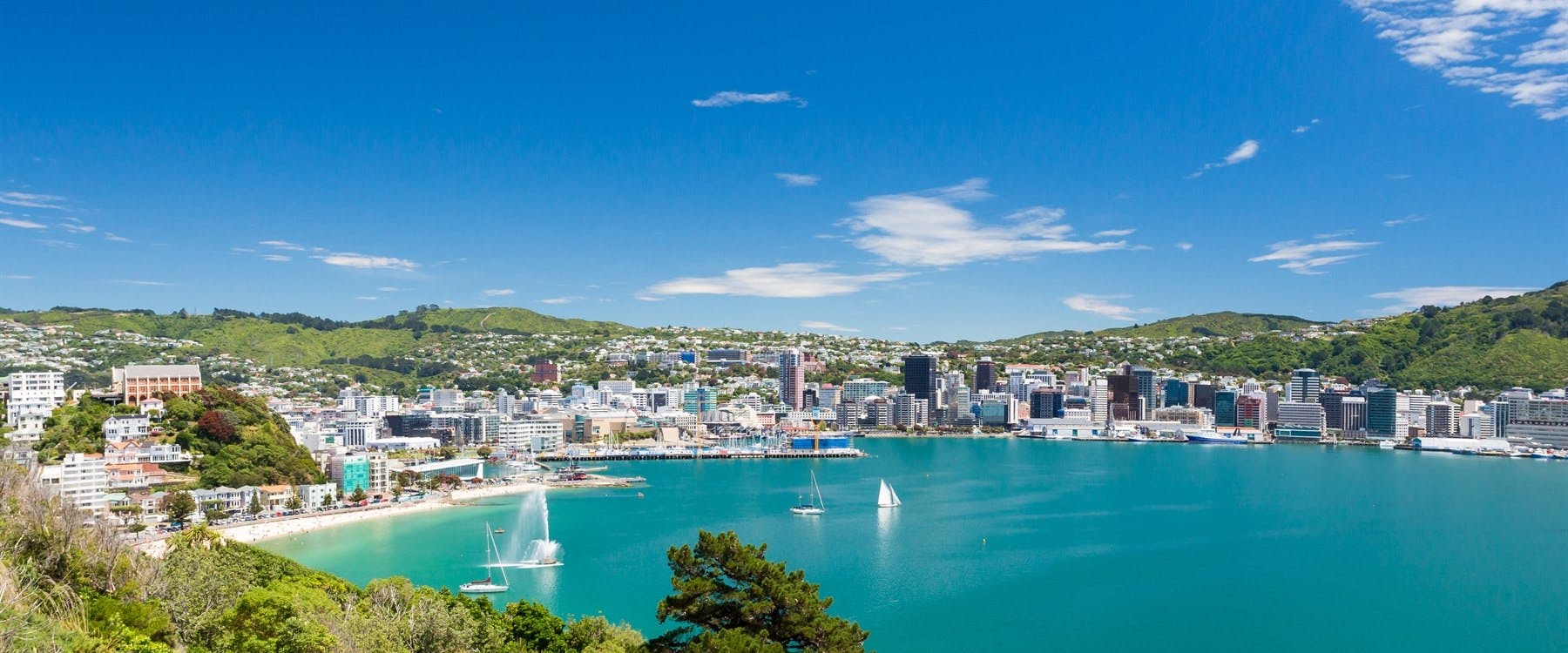 Tongariro National Park to Wellington (206 miles)