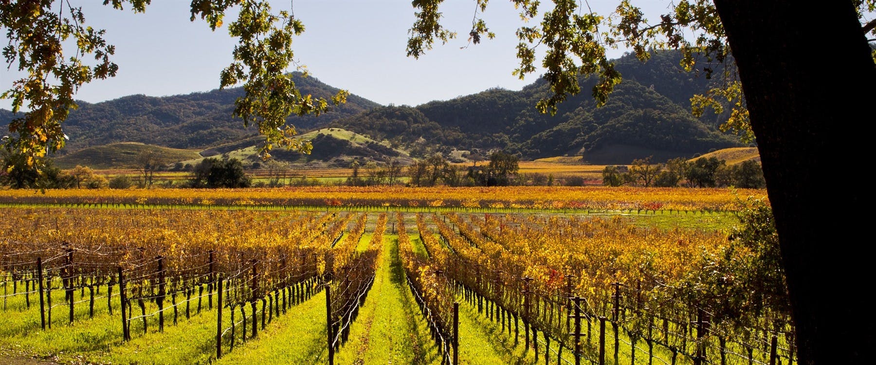 San Francisco to Napa Valley (47 miles)