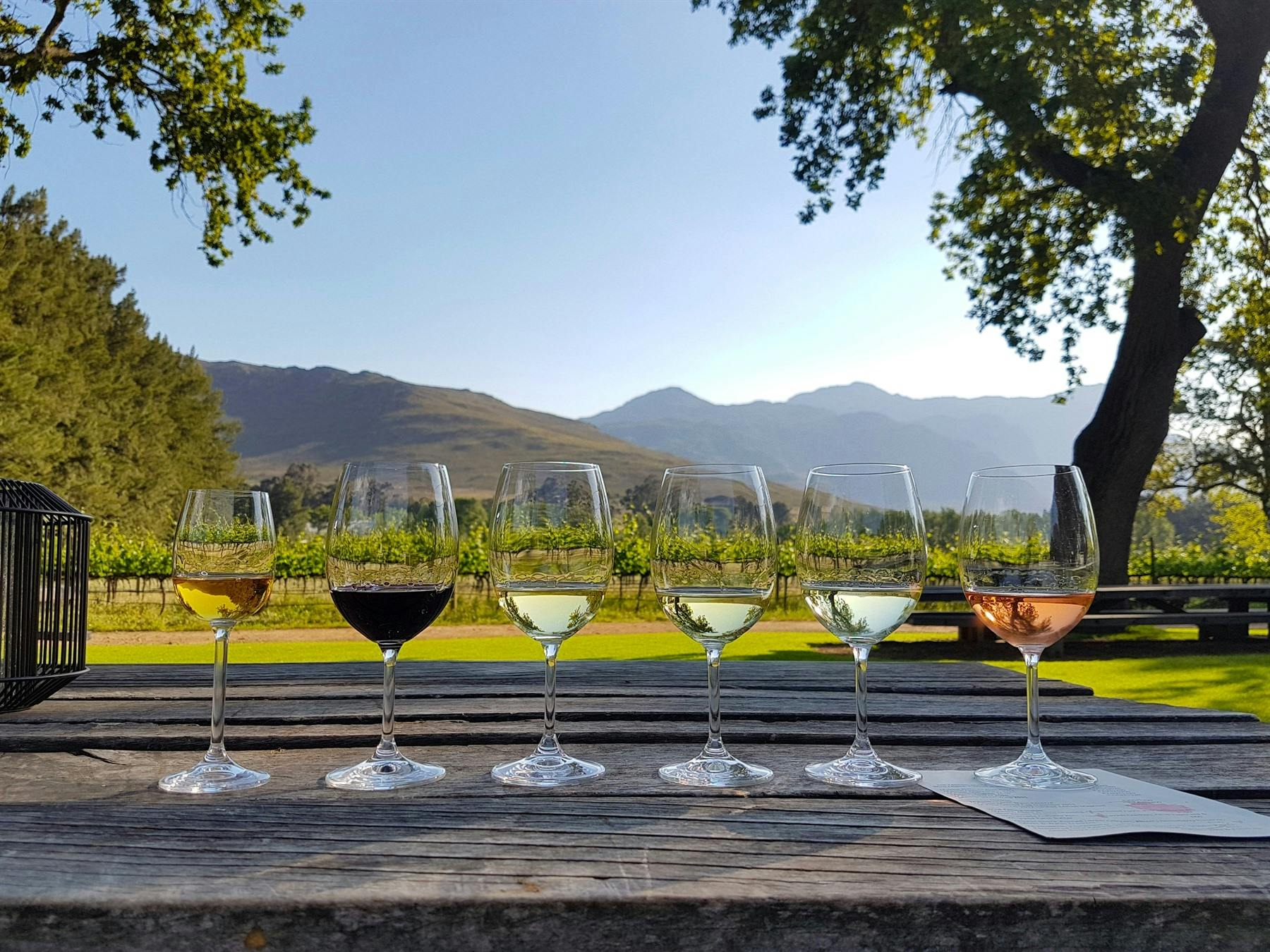 Cape Town - Touring Winelands