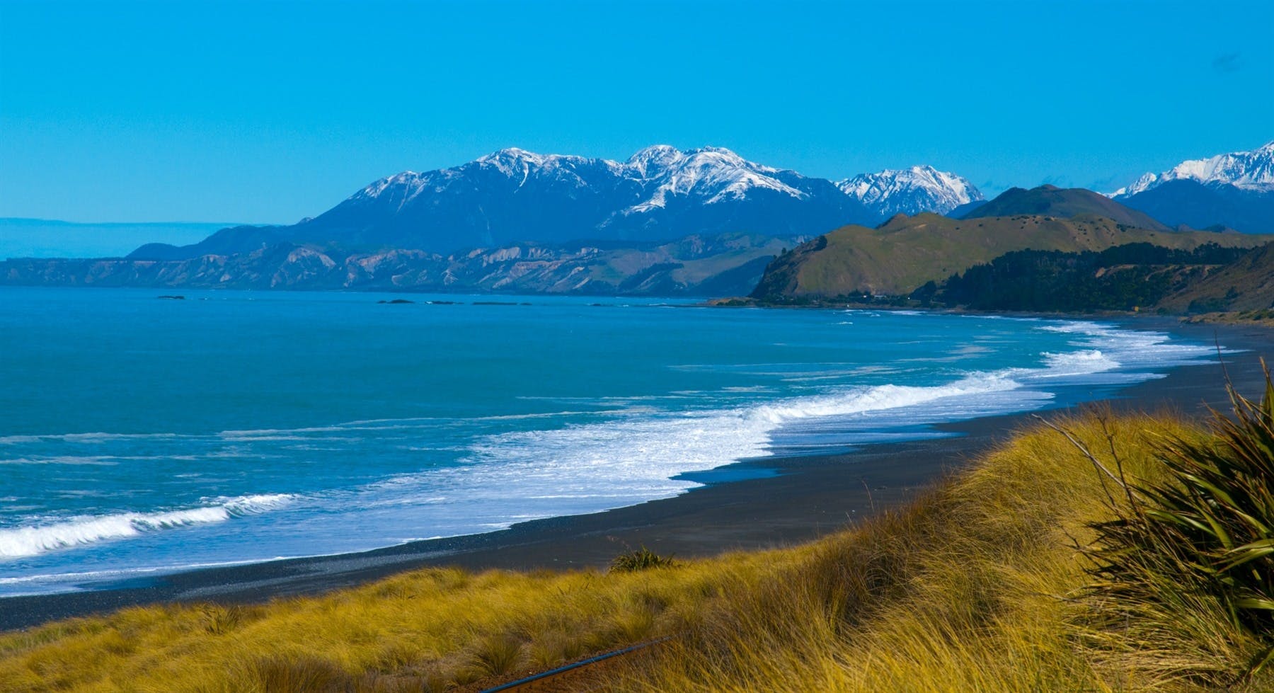 Drive to Kaikoura (190 miles)