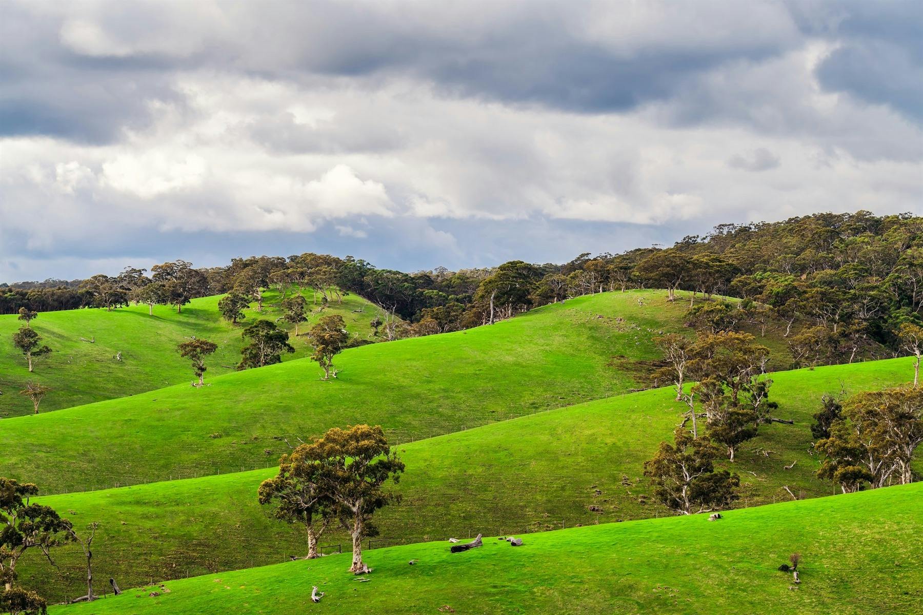 Adelaide Hills