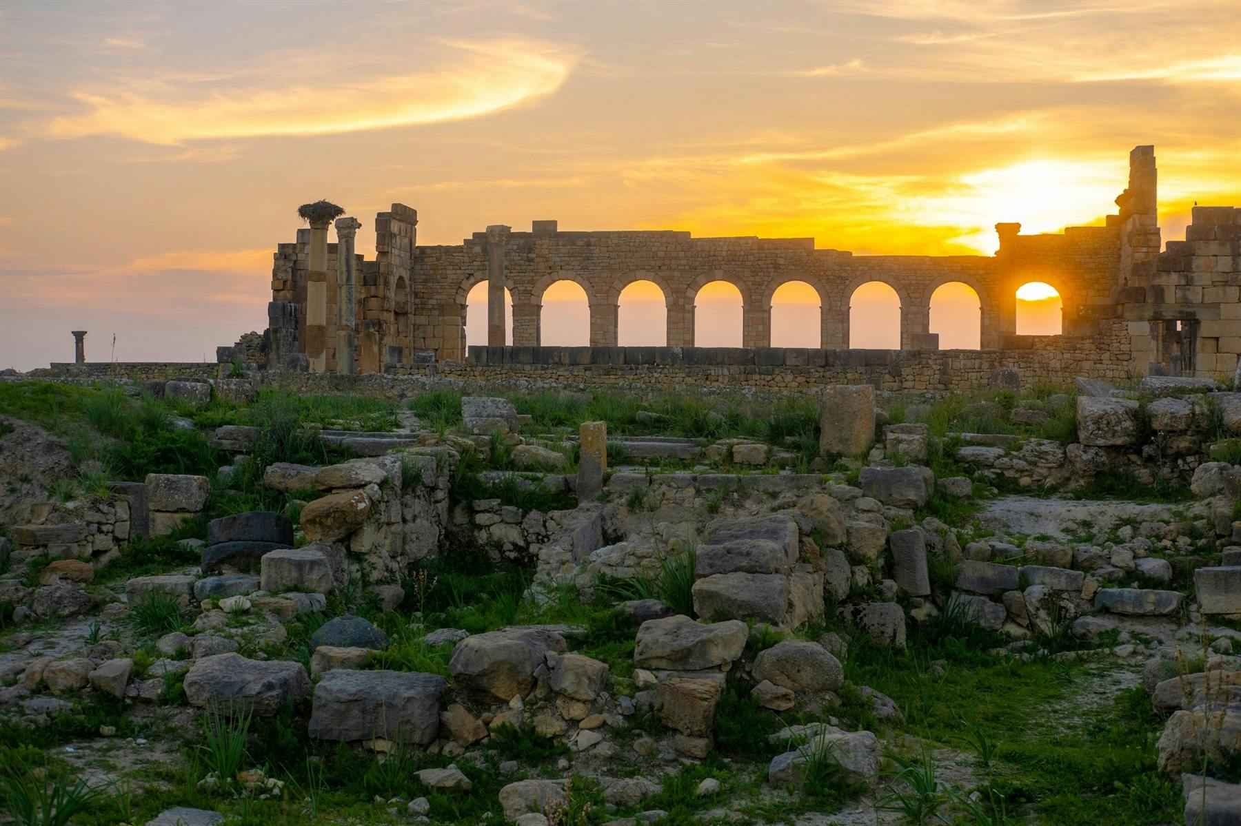 | 12 February 2025 | Volubilis and Meknes