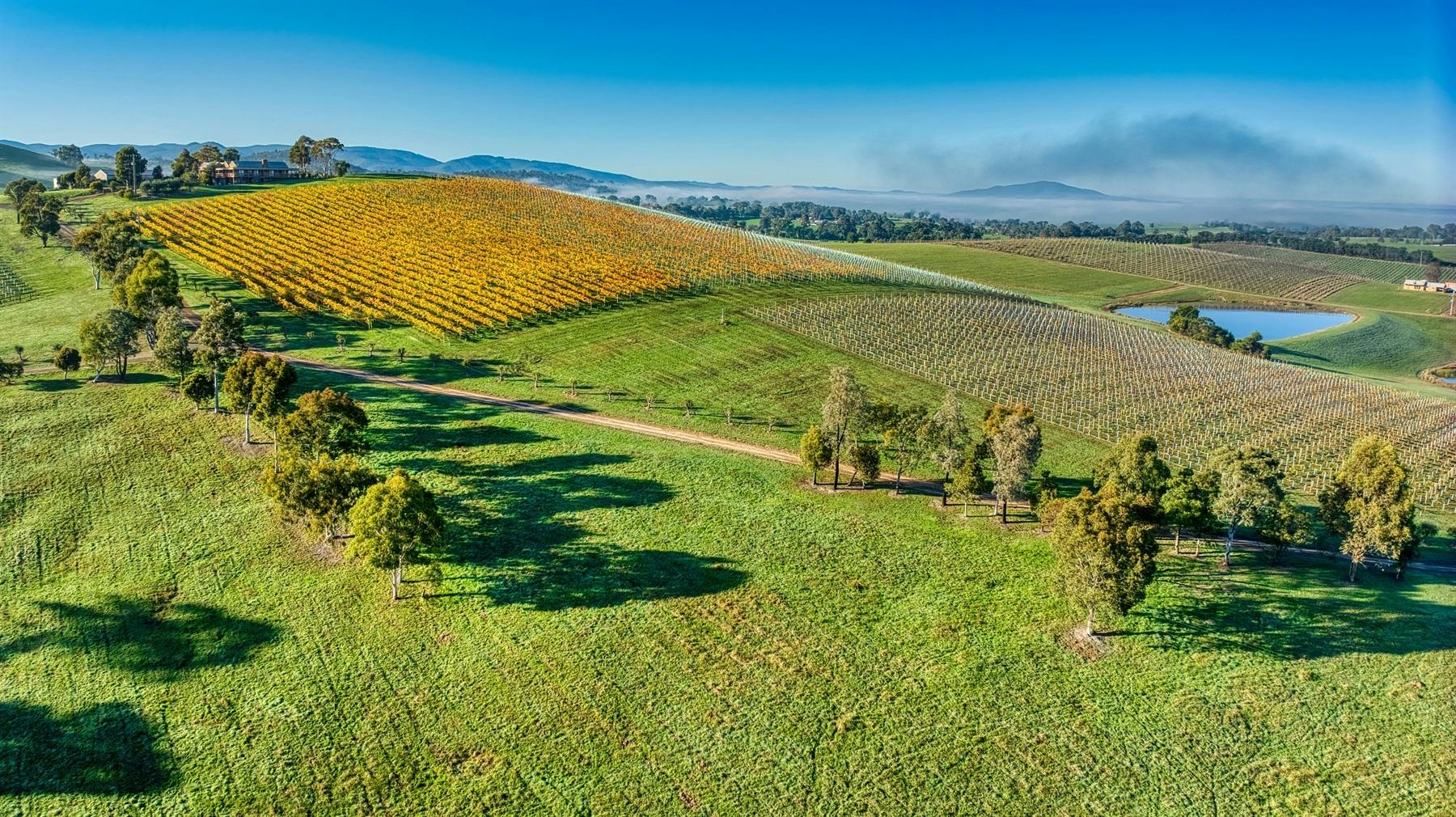 Full Day Yarra Valley Wine & Cheese