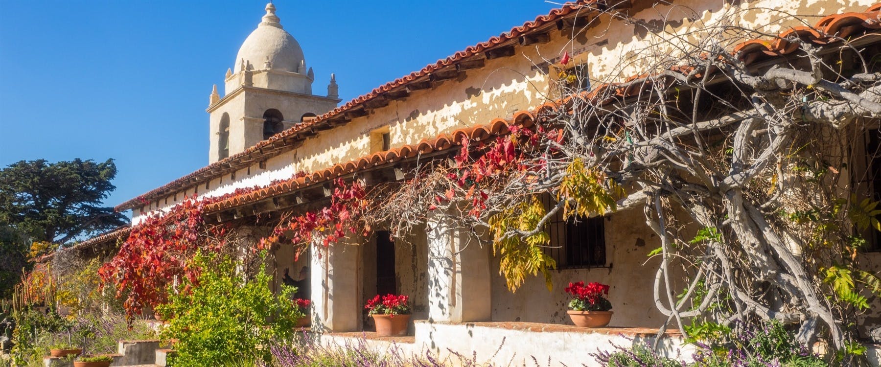 Yosemite to San Francisco (190 miles)