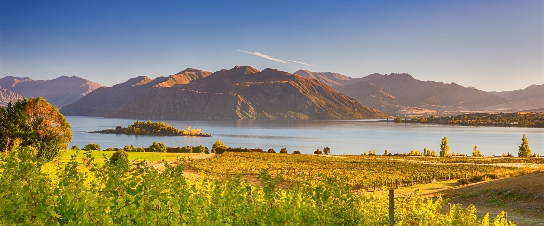 Franz Josef to Queenstown (220 miles)