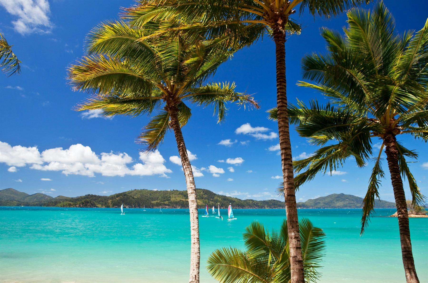 Depart Hamilton Island