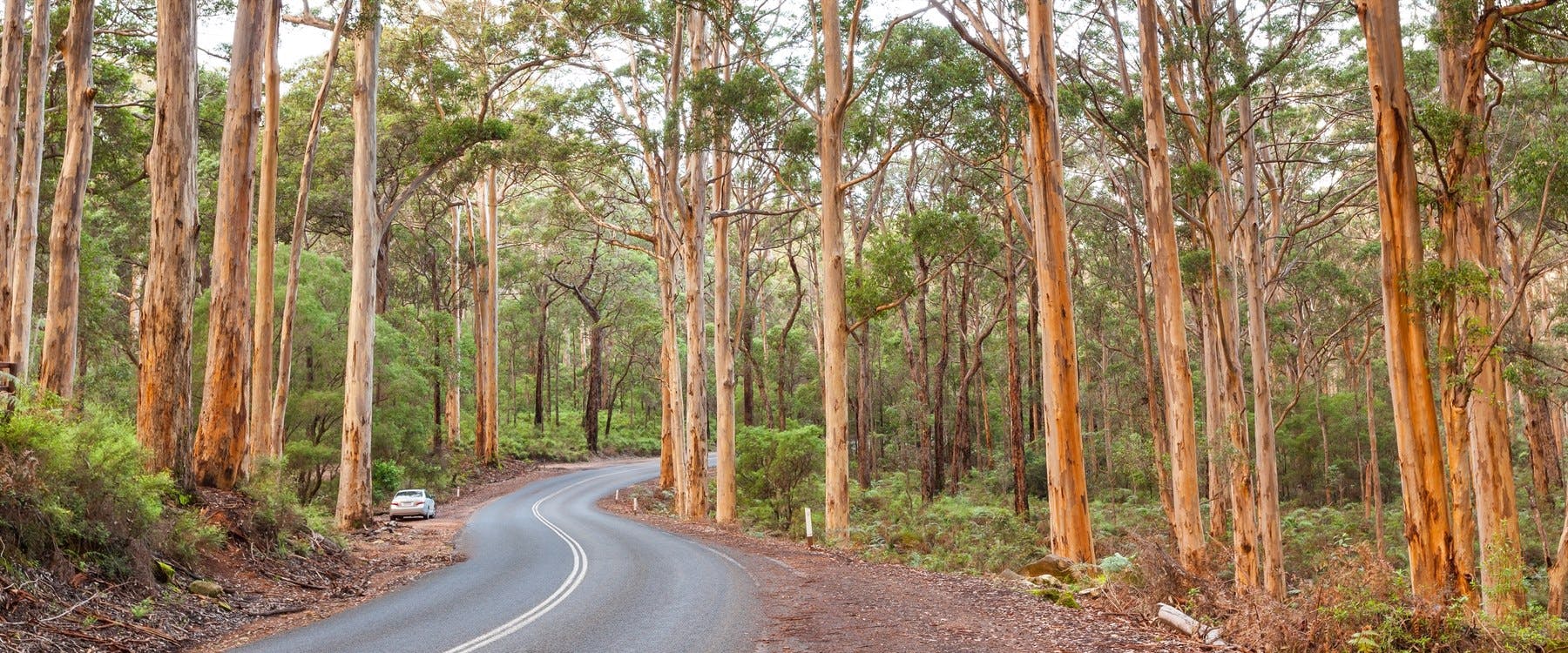 Margaret River Wine Tour and Cape Leeuwin