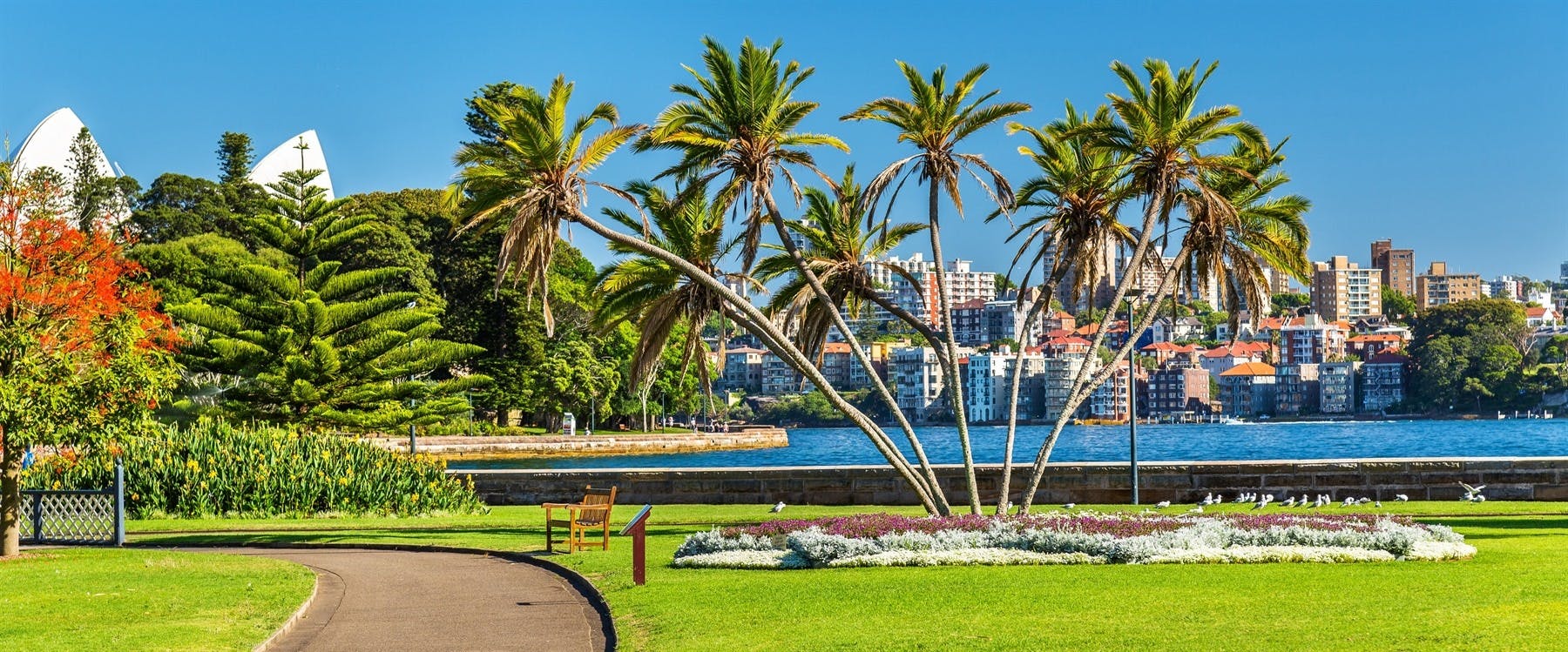 Royal Botanical Gardens Aboriginal Tour