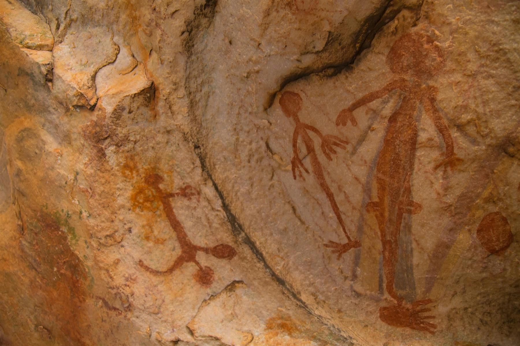 Bradshaw - Drysdale River Station