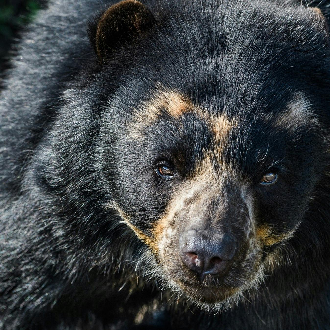 Machu Picchu – Cusco