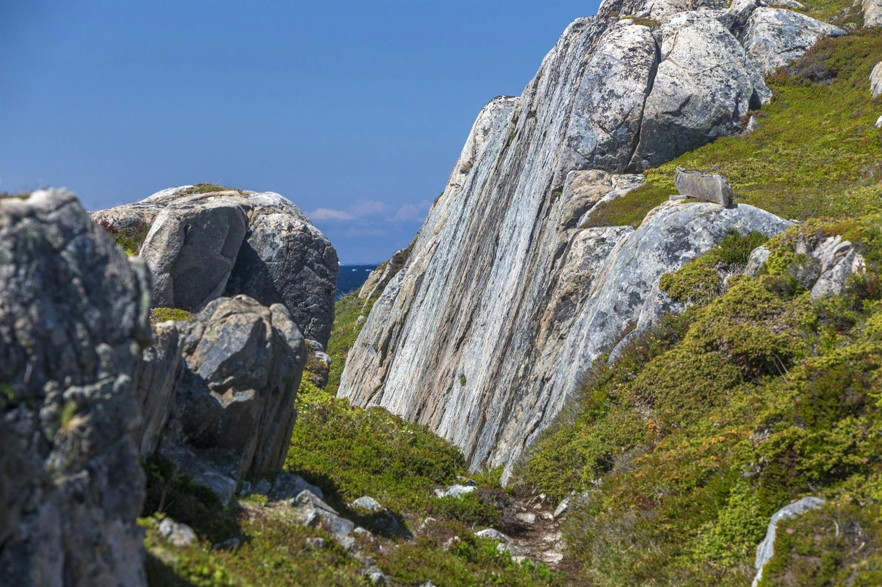 Fogo Island Private Guided Hike and Boil Up