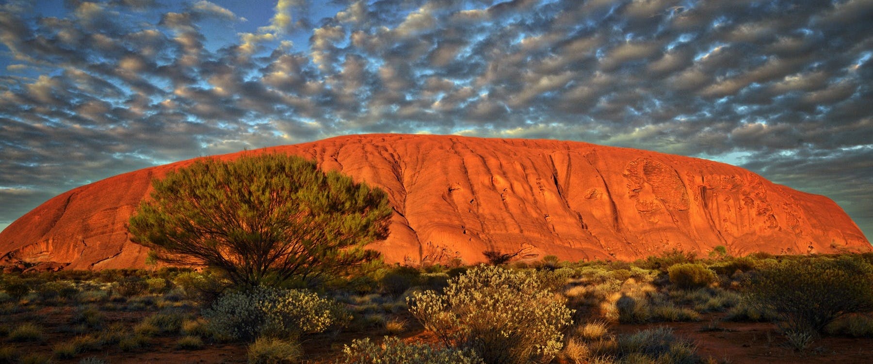 Morning Uluru Trek and Evening Outback Sky Journeys