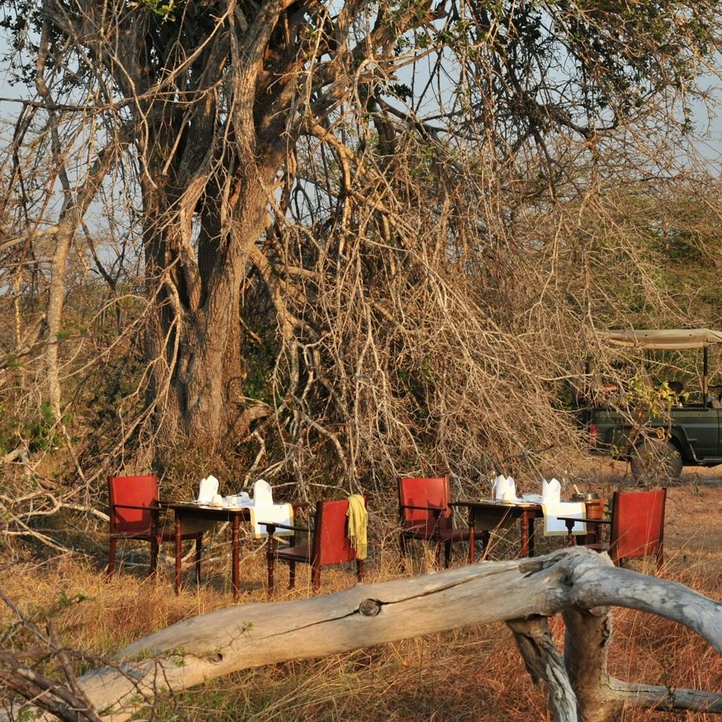 Selous Game Reserve