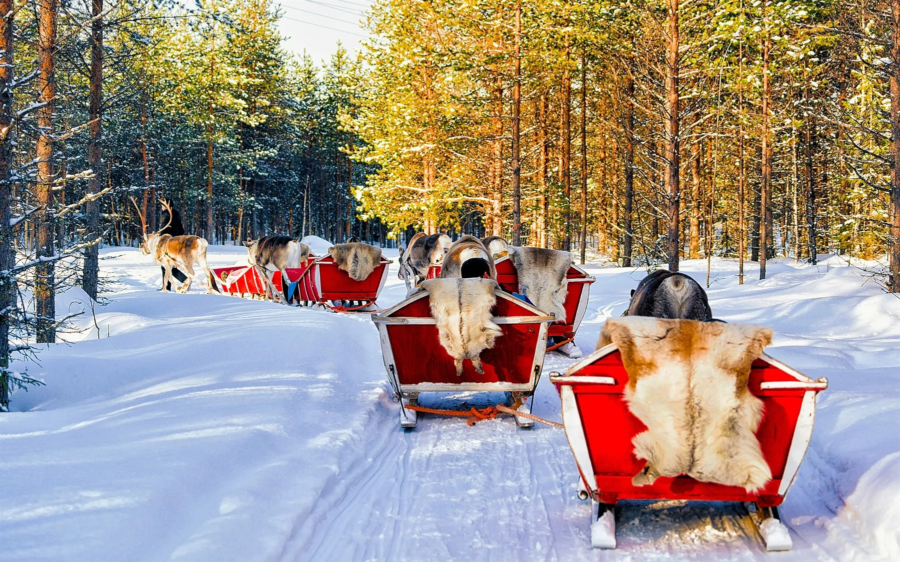 A Family Christmas in Rovaniemi, Lapland image 1