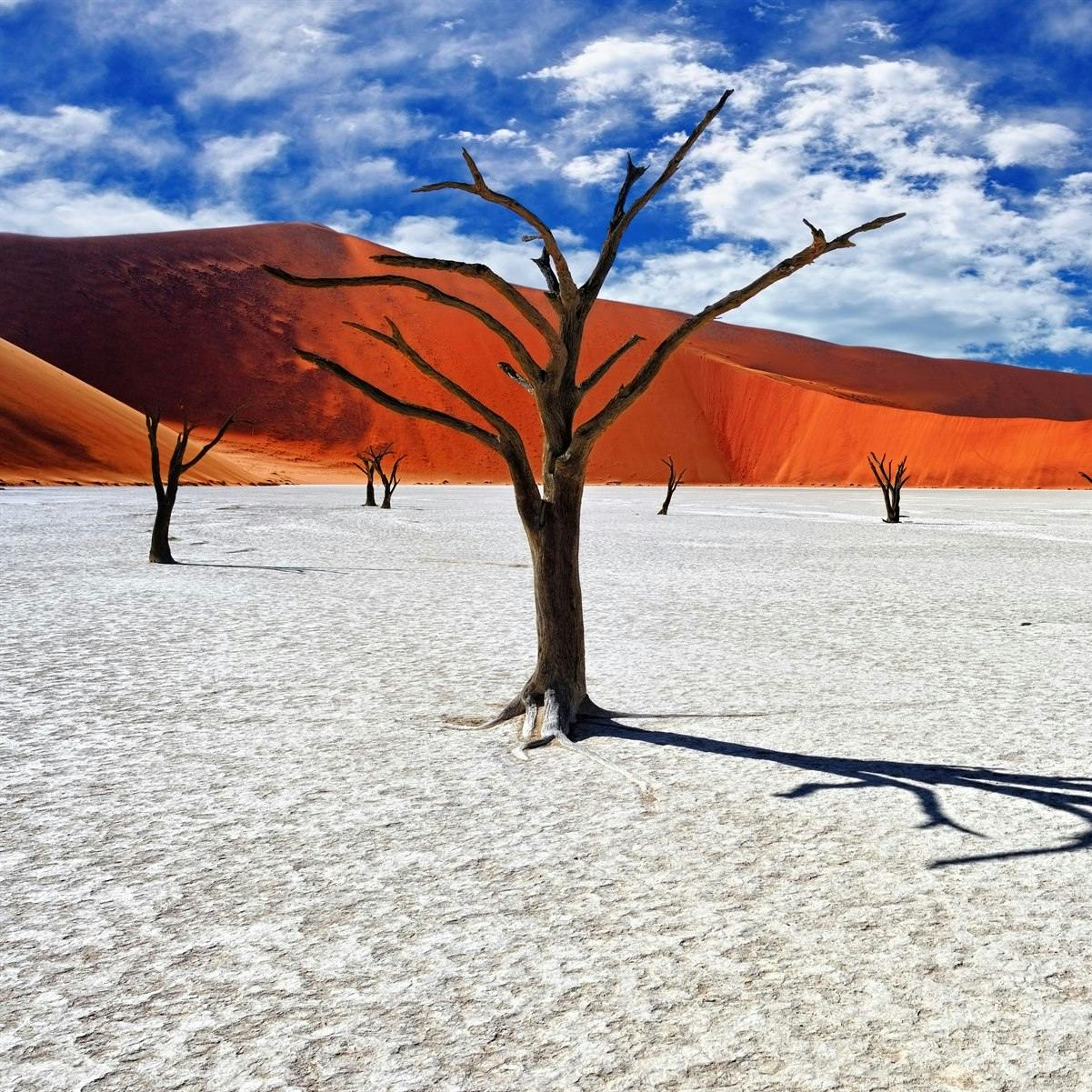 Sossusvlei Desert 
