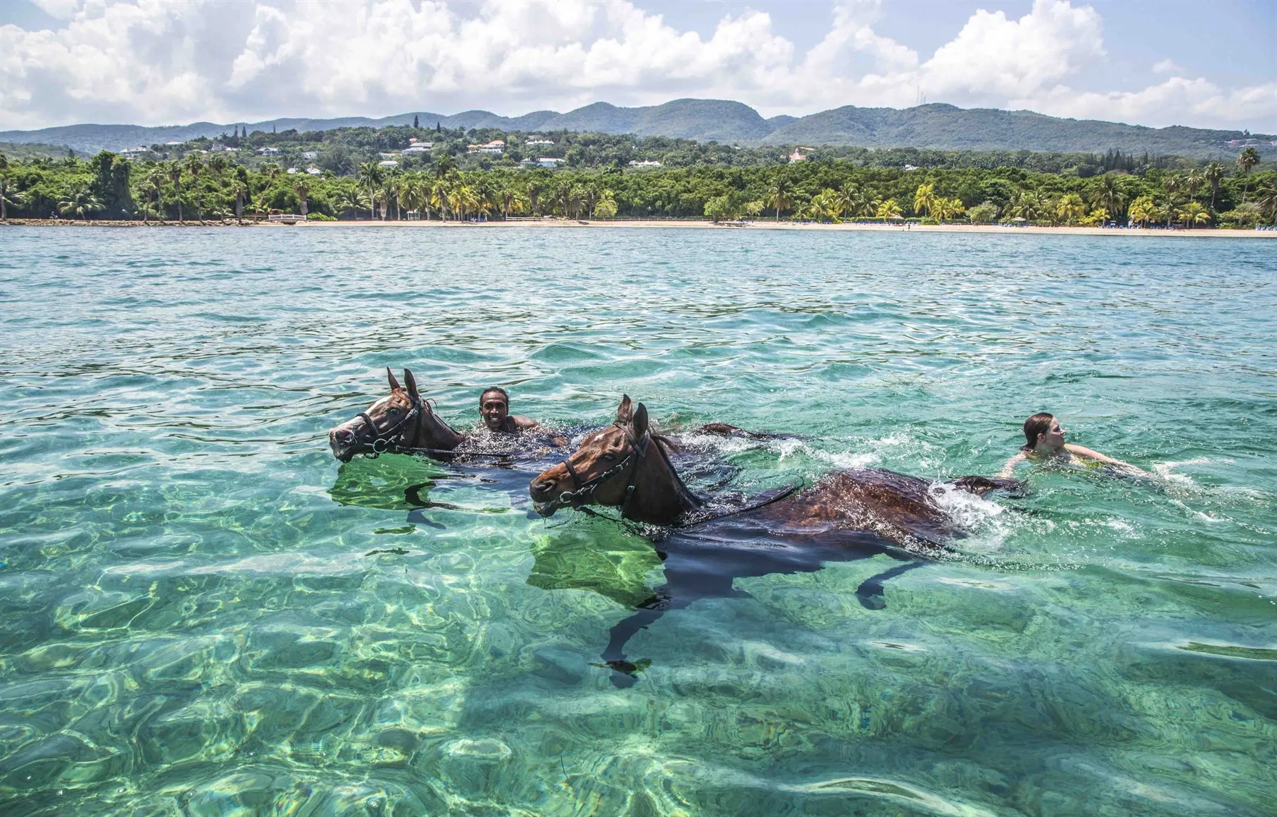 swimming with horses at half moon jamaica