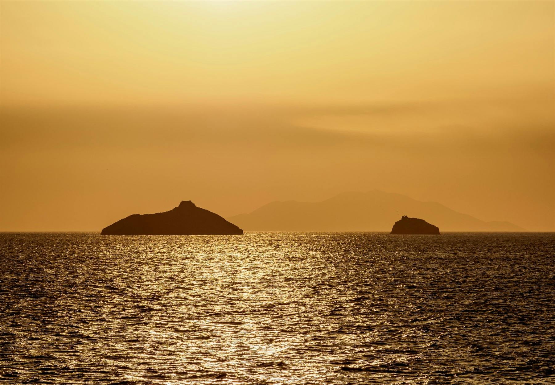 | 27 February 2026 | Cerro Dragon, Isla Guy Fawkes & Bahía Bowditch