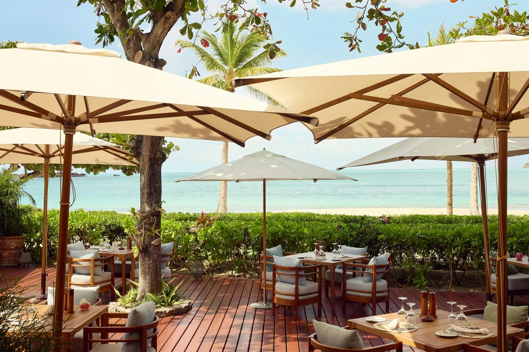 Hermitage Bay | Terrace