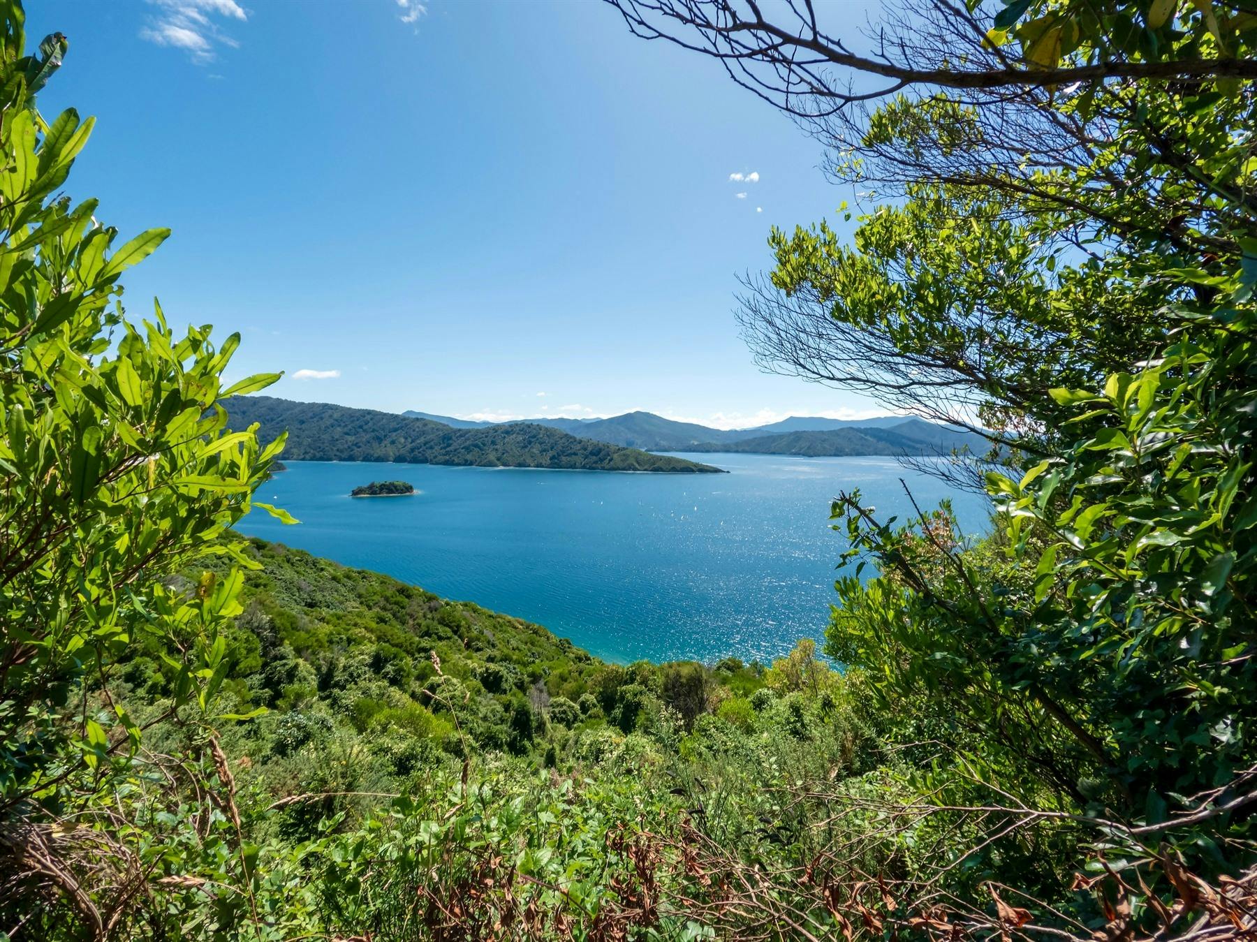 Nelson/Abel Tasman via Picton & Queen Charlotte Drive