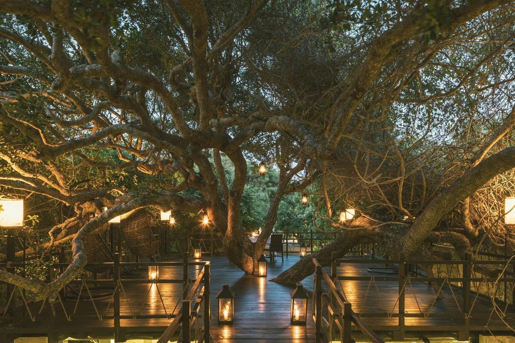 Treetop dining at Uga Jungle Beach