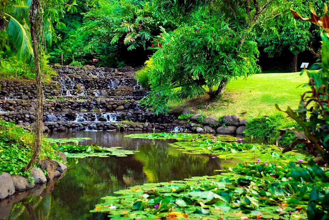 Vaipahi Botanic Gardens, Tahiti