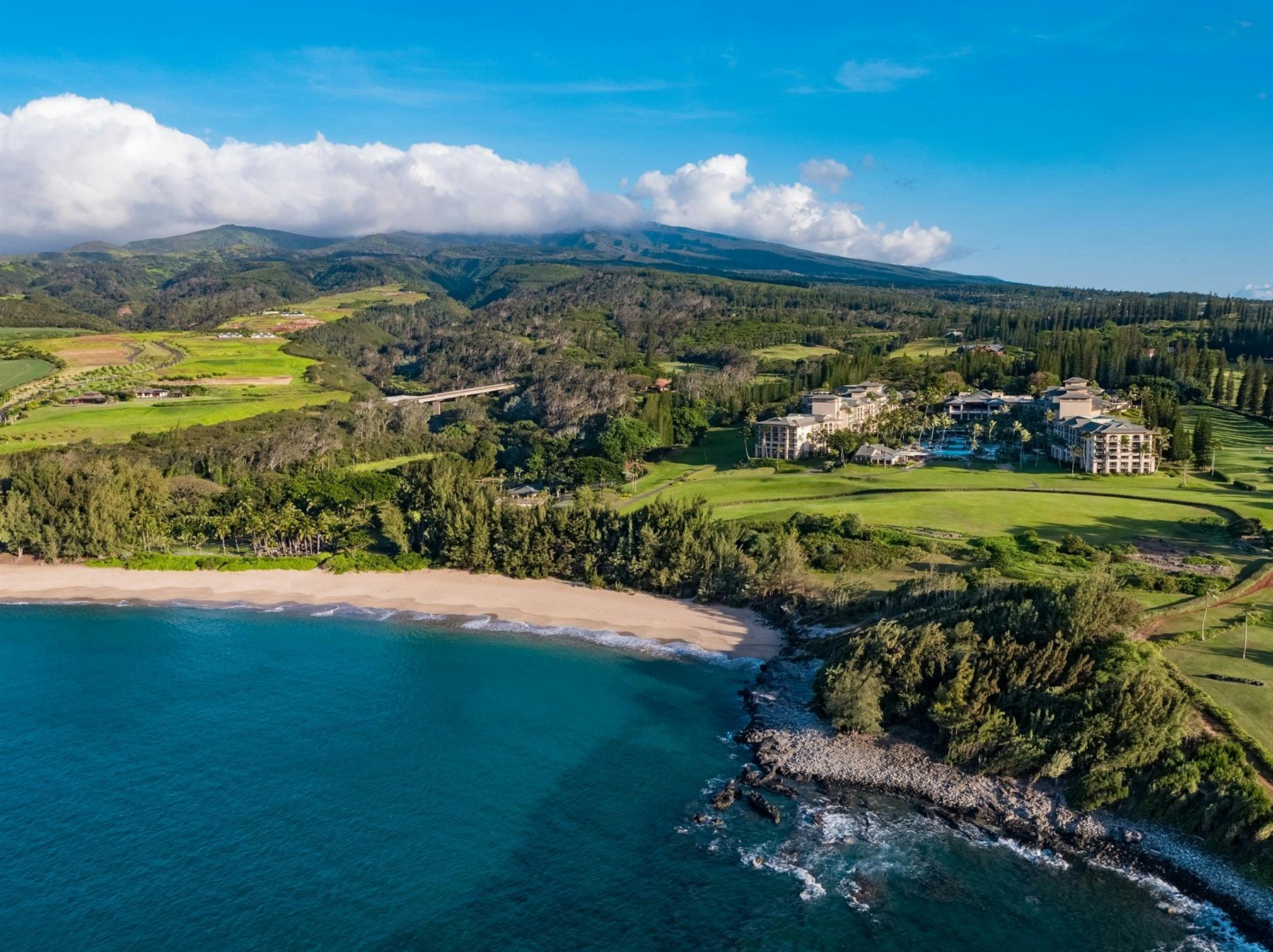 The Ritz-Carlton Maui, Kapalua 9