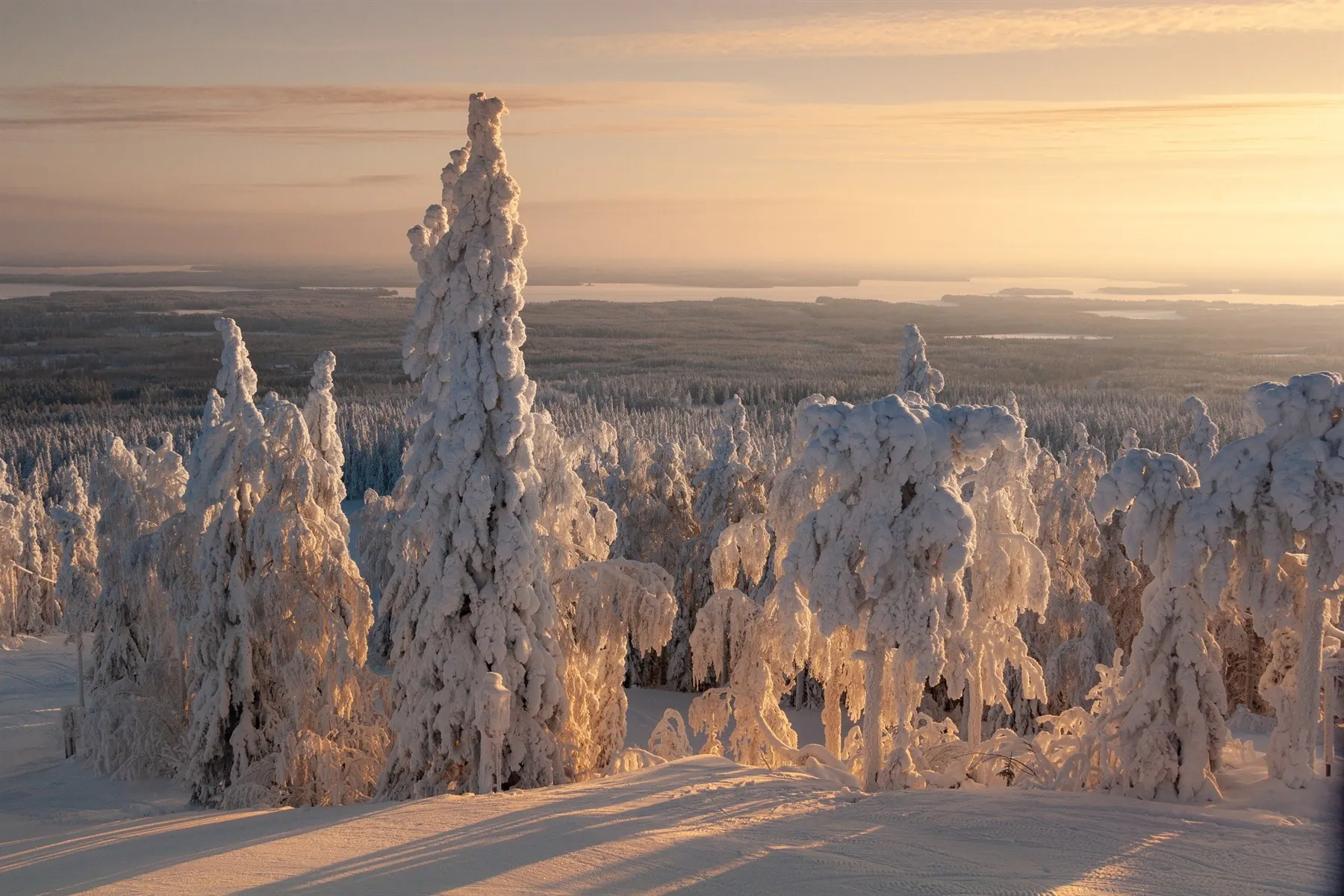 | Depart Finnish Lapland