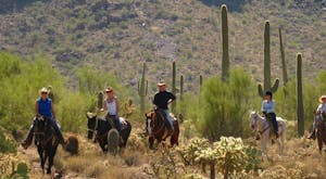 Ride through Arizona's cacti filled deserts on this wild west ranch holiday<place>White Stallion Ranch</place><fomo>147</fomo>